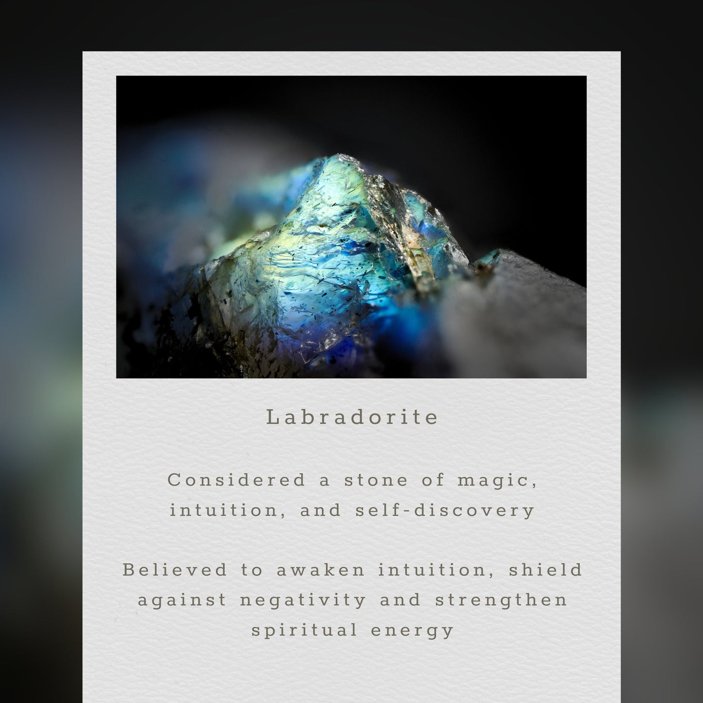 Labradorite Freestyle Earrings